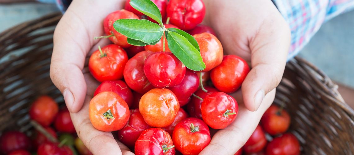 La Acerola: Un Tesoro Nutricional