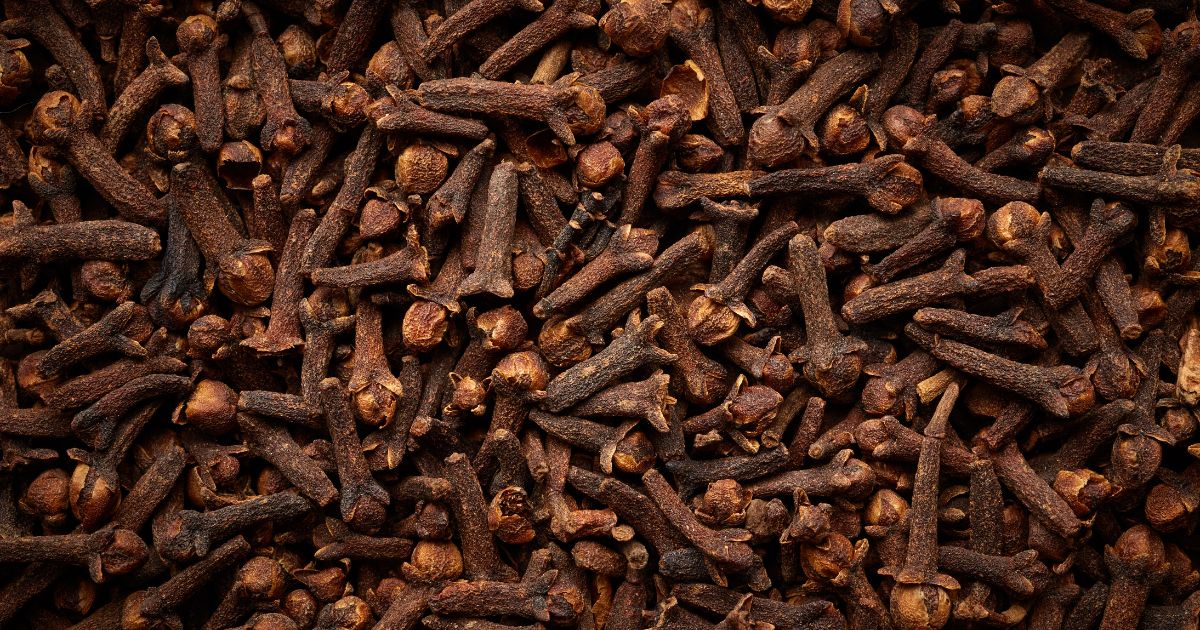Los asombrosos beneficios para la salud de masticar clavo de olor cada día