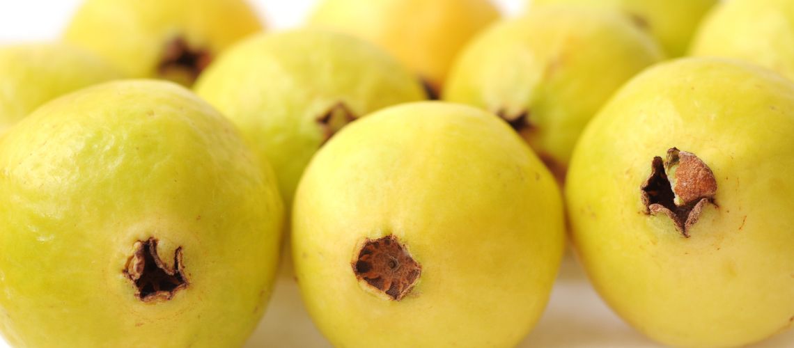 Beneficios de la Guayaba: La Superfruta que Revoluciona la Salud y Bienestar