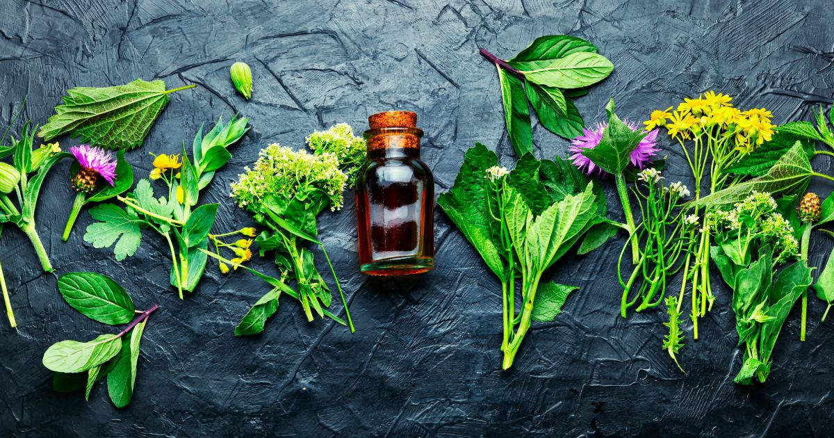 Descubriendo la Medicina Ortomolecular: Guía Completa para una Salud Óptima