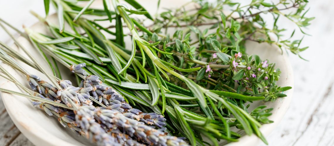 Romero: El Elixir Natural para la Salud y la Cocina
