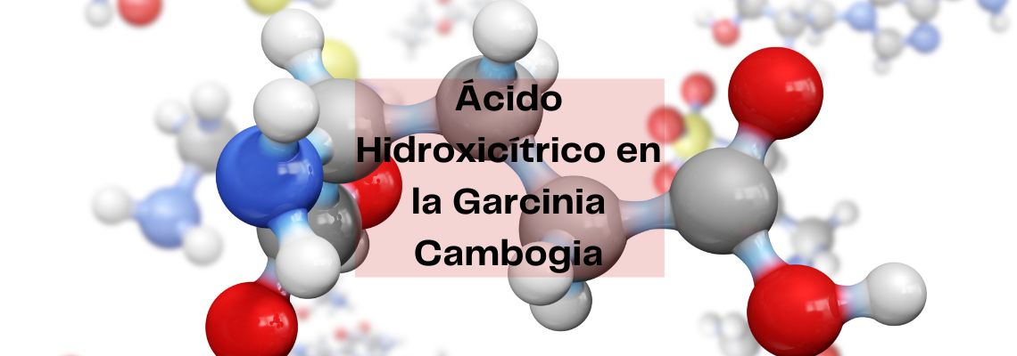 Que es el HCA o Ácido Hidroxicítrico en la Garcinia Cambogia Pura de Nutrivergel?