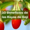 10 beneficios de las bayas de Goji para nuestra salud