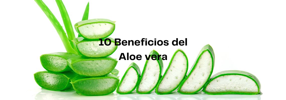 10 beneficios y propiedades del Aloe Vera
