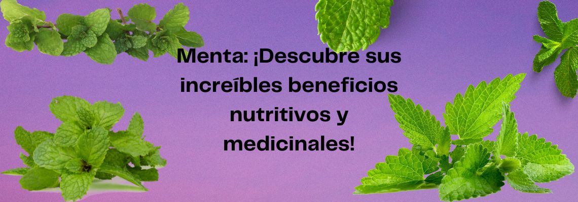 Descubre los beneficios de la menta en Casitodoonline