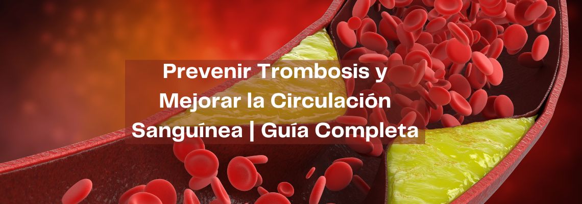 Prevenir Trombosis y Mejorar la Circulación Sanguínea | Guía Completa