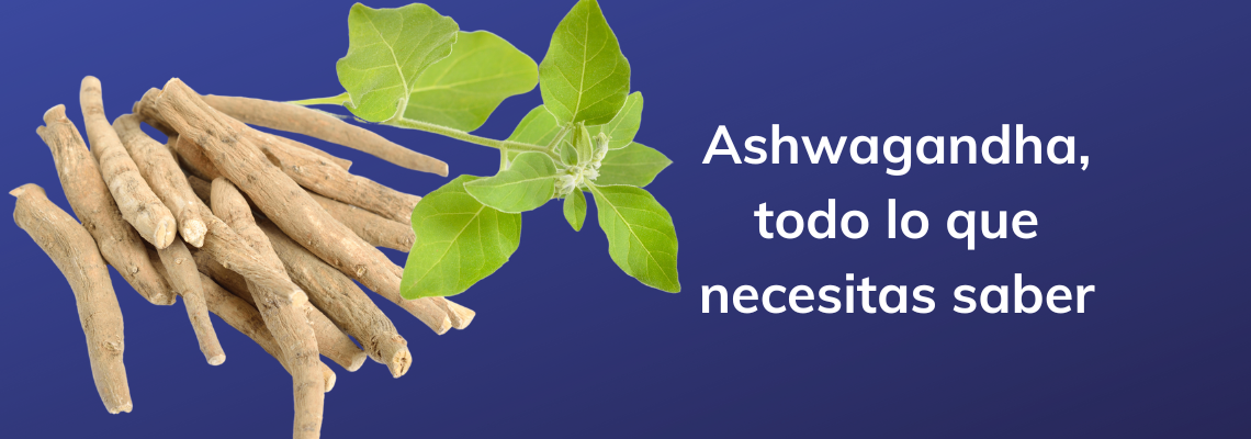 Todo lo que necesitas saber sobre Ashwagandha