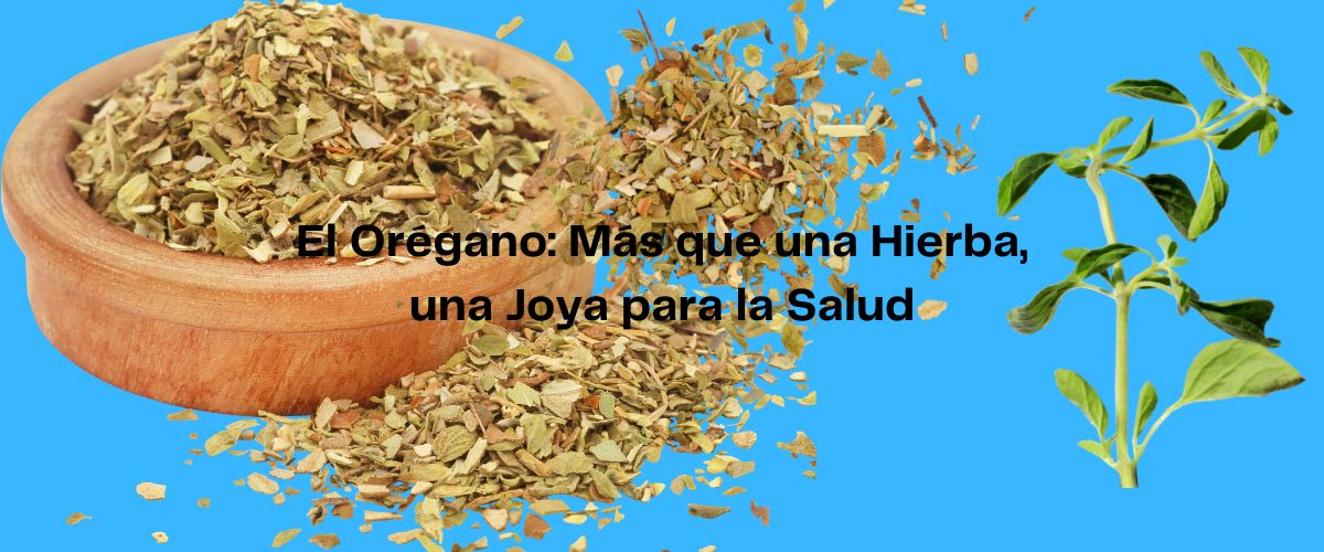 El Orégano: Más que una Hierba, una Joya para la Salud