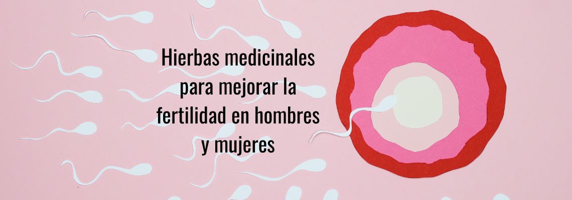 Hierbas medicinales para mejorar la fertilidad en hombres y mujeres