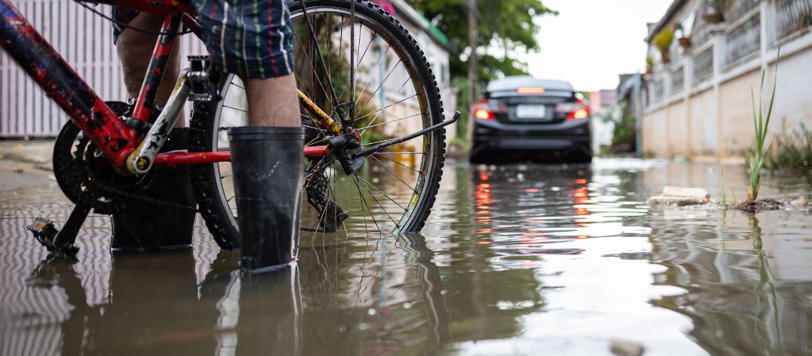 Leptospirosis: Una Guía Completa sobre esta Enfermedad Emergente