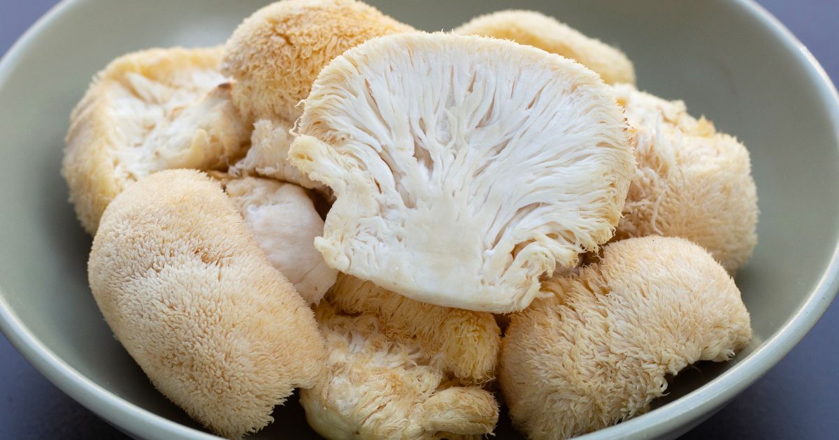 Beneficios Inexplorados de los Hongos Melena de León – Guía de Bienestar y Salud Natural