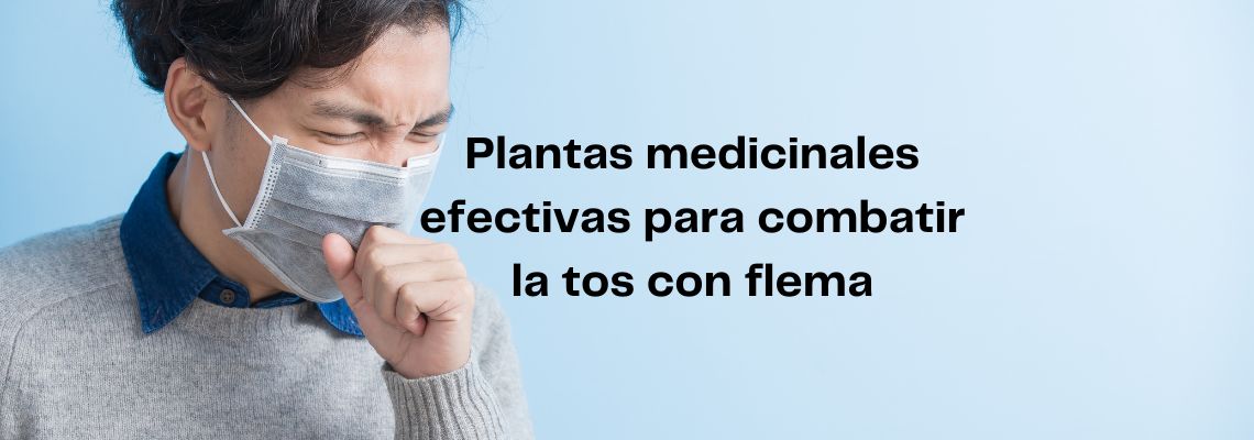 Plantas medicinales efectivas para combatir la tos con flema